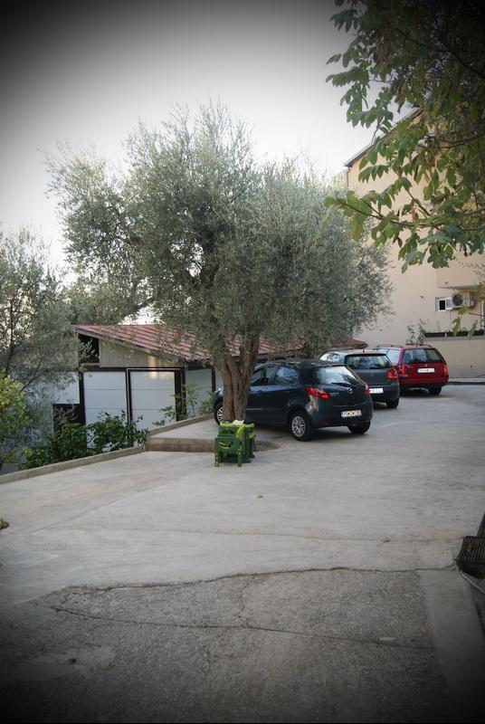 Guest House Ratko Rafailovici Bagian luar foto